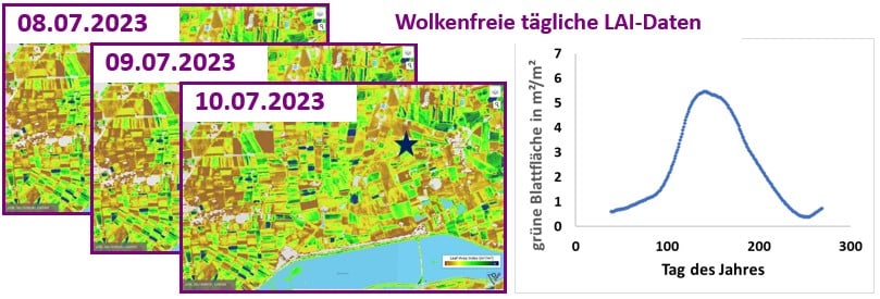 DailyLAI Web Bild2